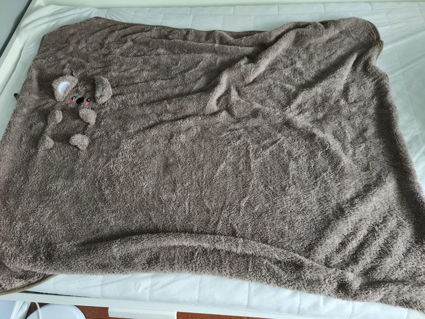 Plush Koala and Bear Blankets - photo 2
