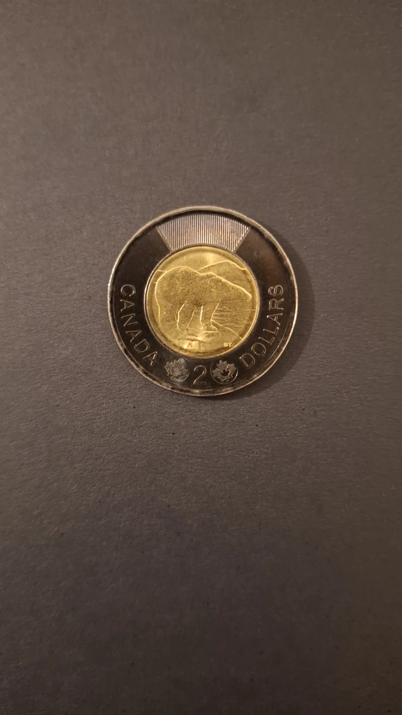 Canadian Commemorative Coins - photo 4