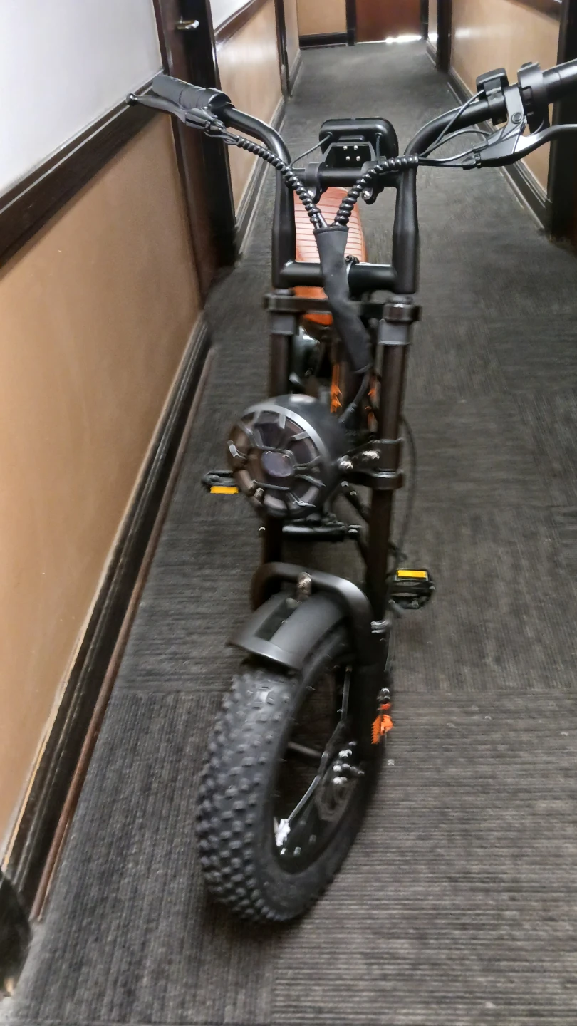 Ebike For Sale - photo 2