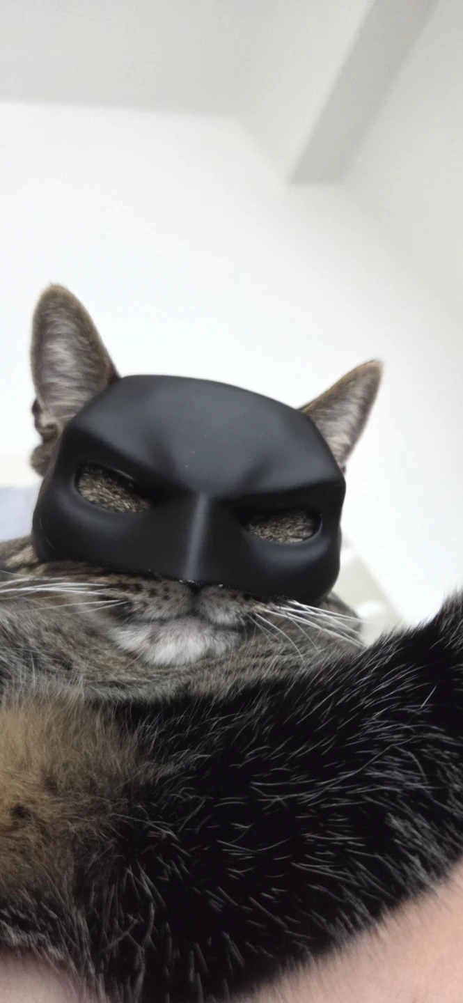 Carman Black Cat Batman Mask