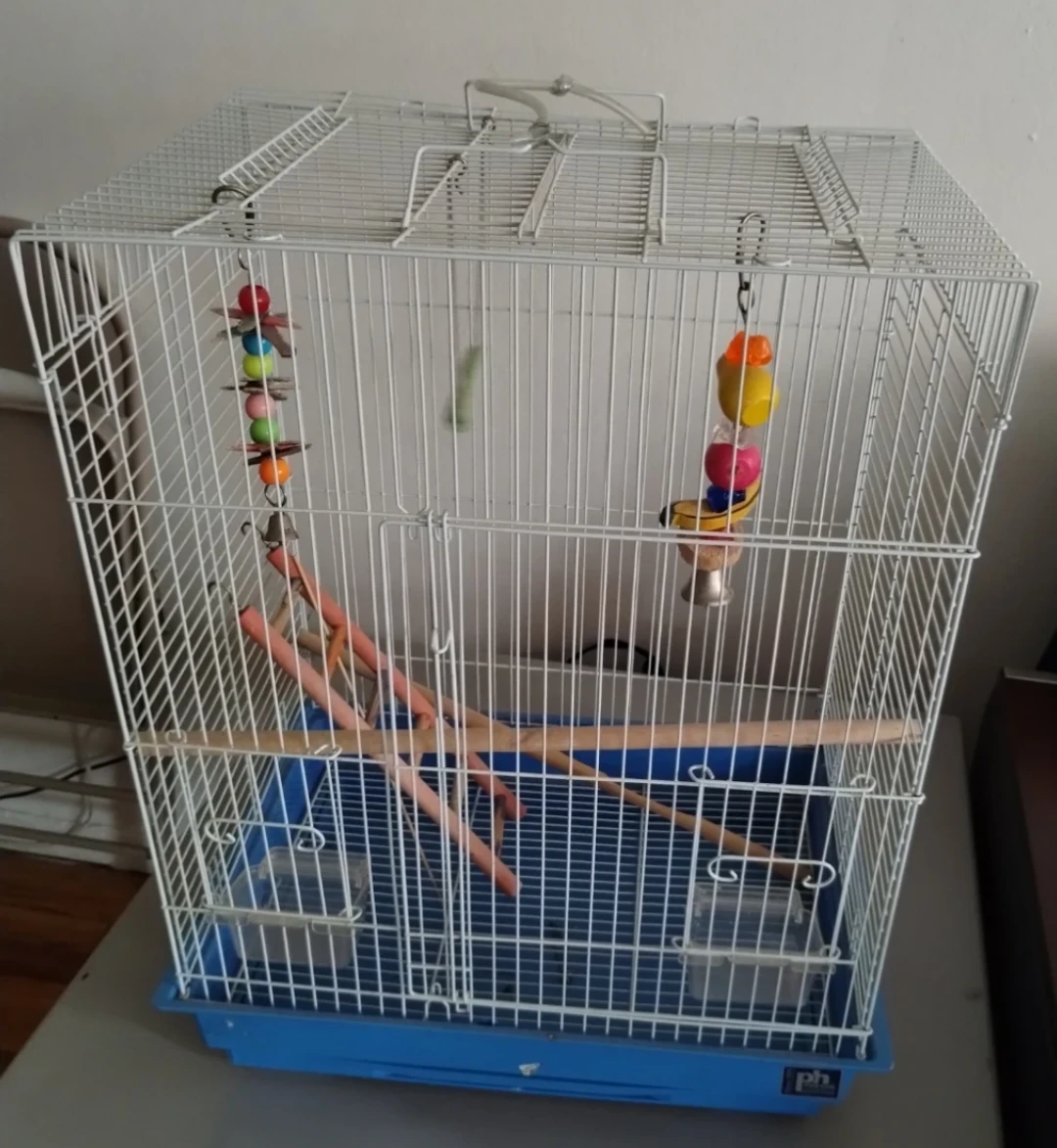 Small Bird Cage with Toys