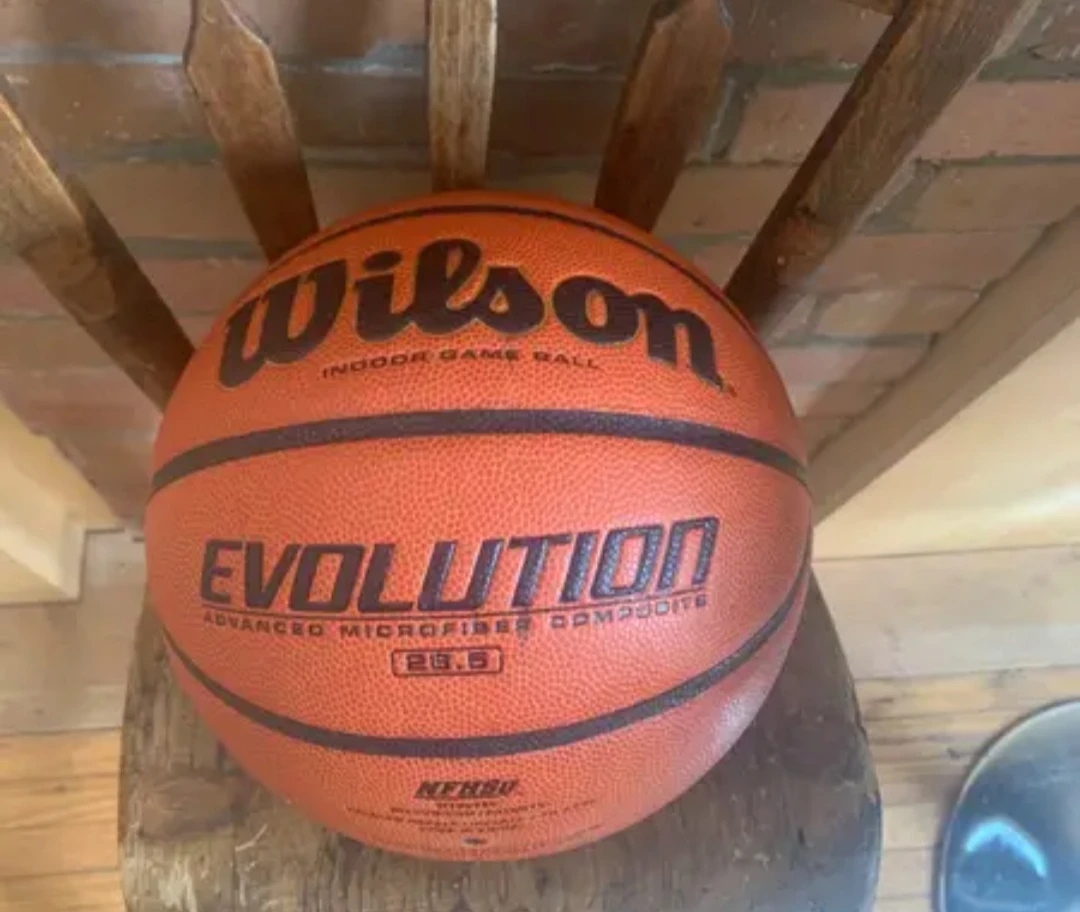 Wilson Evolution Indoor Game Ball Basketball