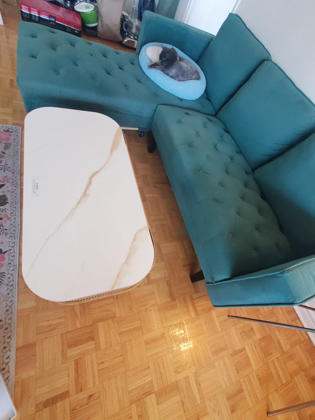 *ALL* ITEMS IN PHOTO FOR SALE (minus my geriatric cat!) - photo 5