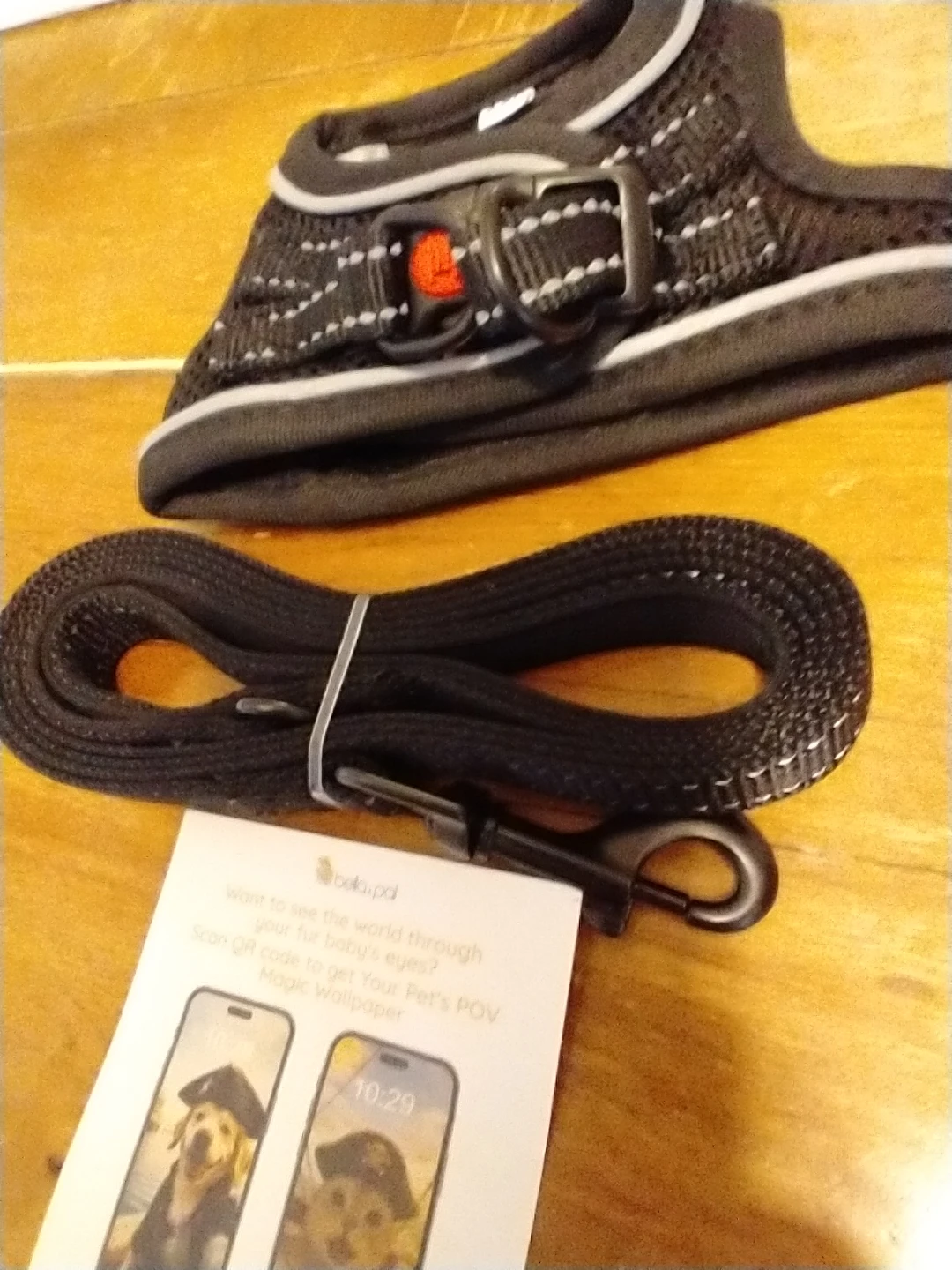 Bella & Paw Dog Harness with Leash - photo 2