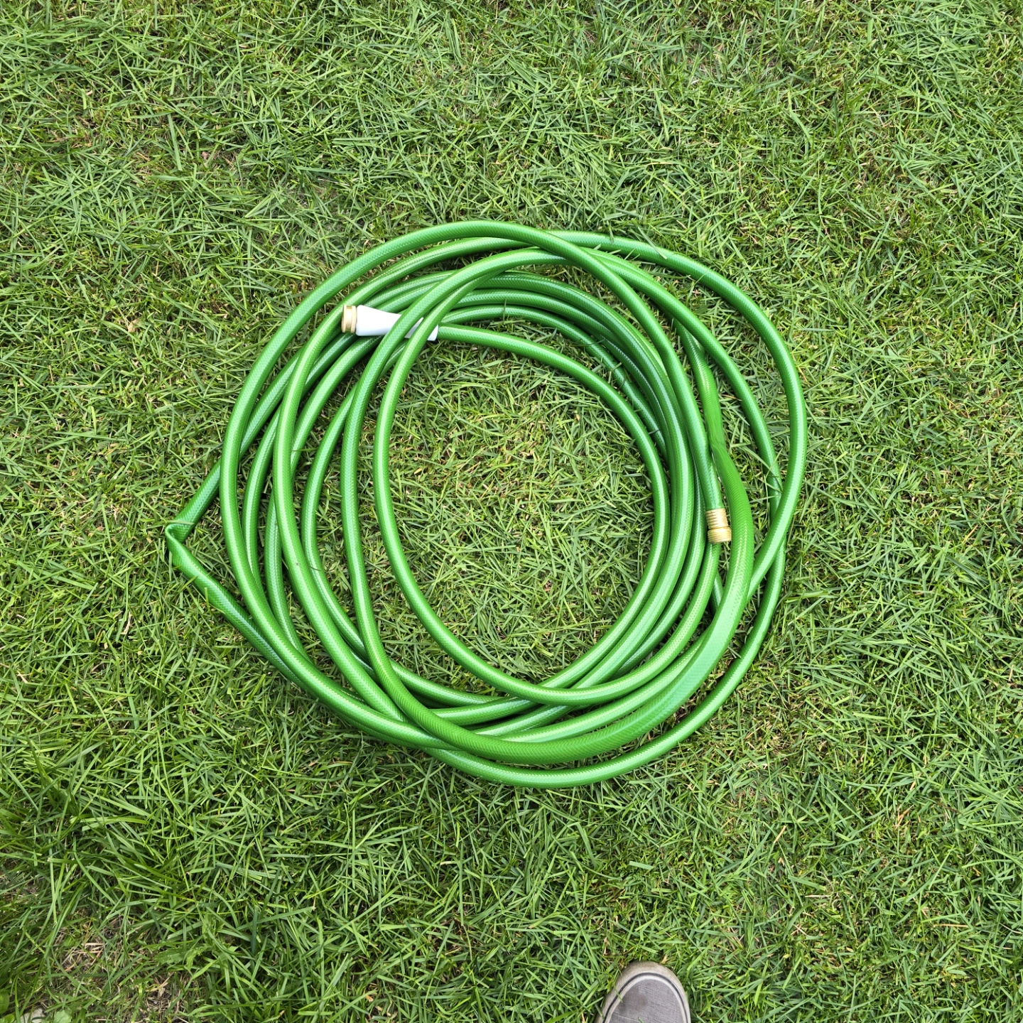 50 ft Garden Hose – Good Condition – $10