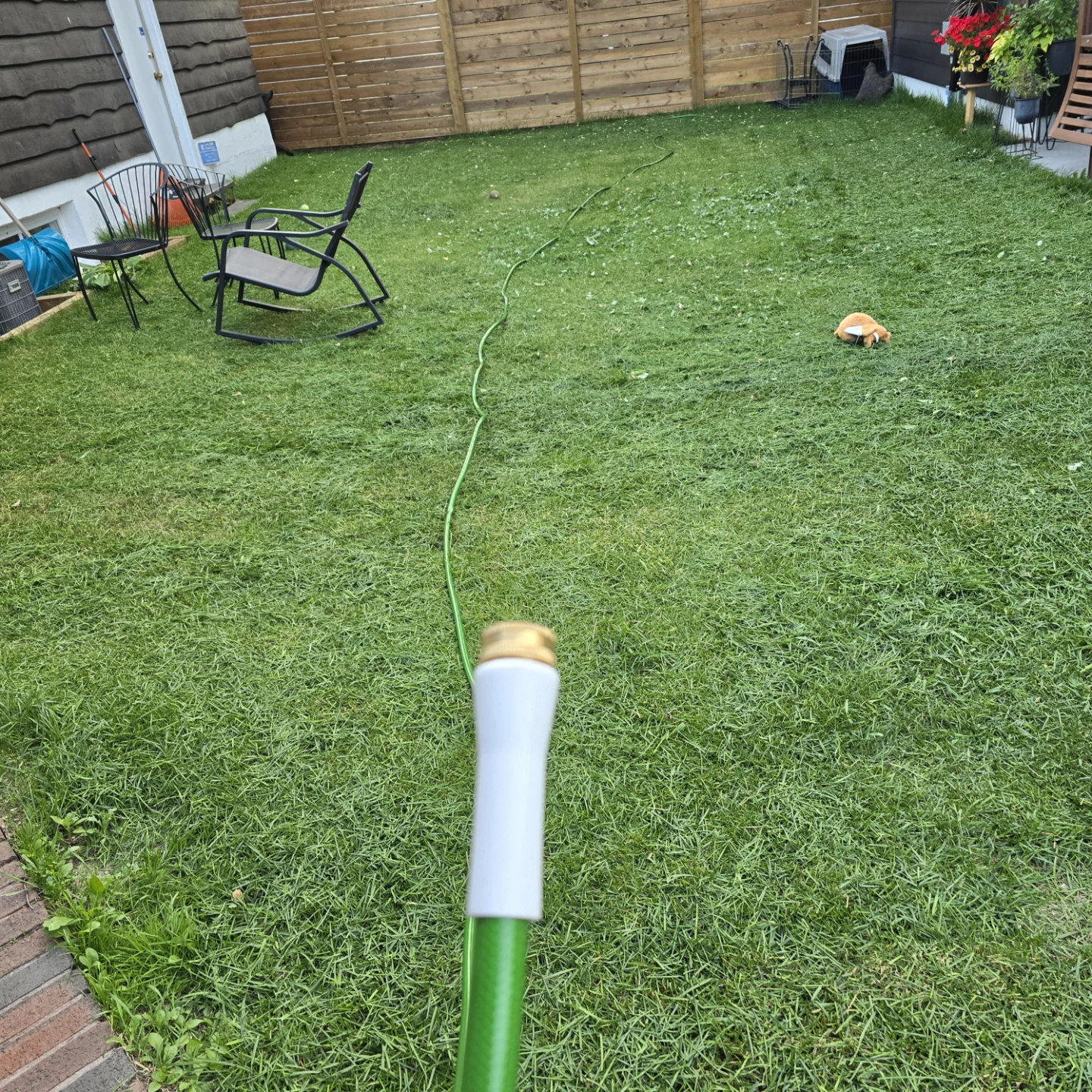 50 ft Garden Hose – Good Condition – $10 - photo 2