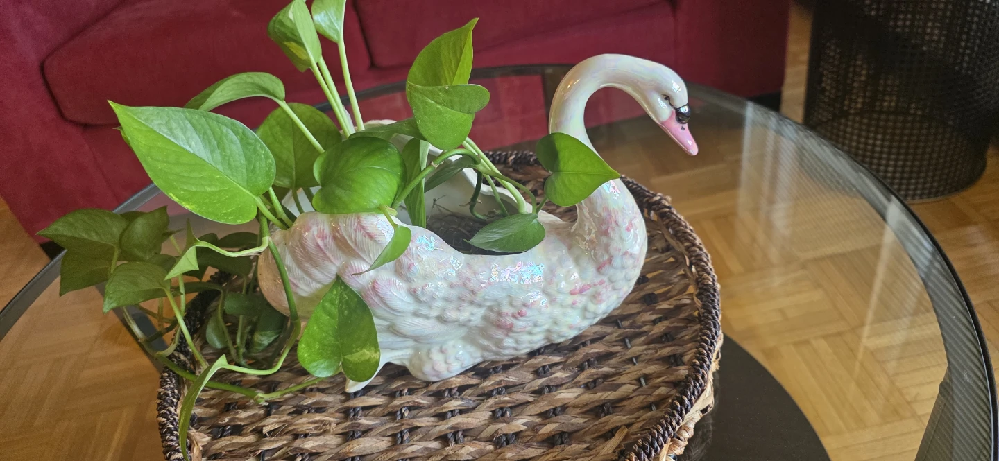 Ceramic Swan Planter Pot - photo 2