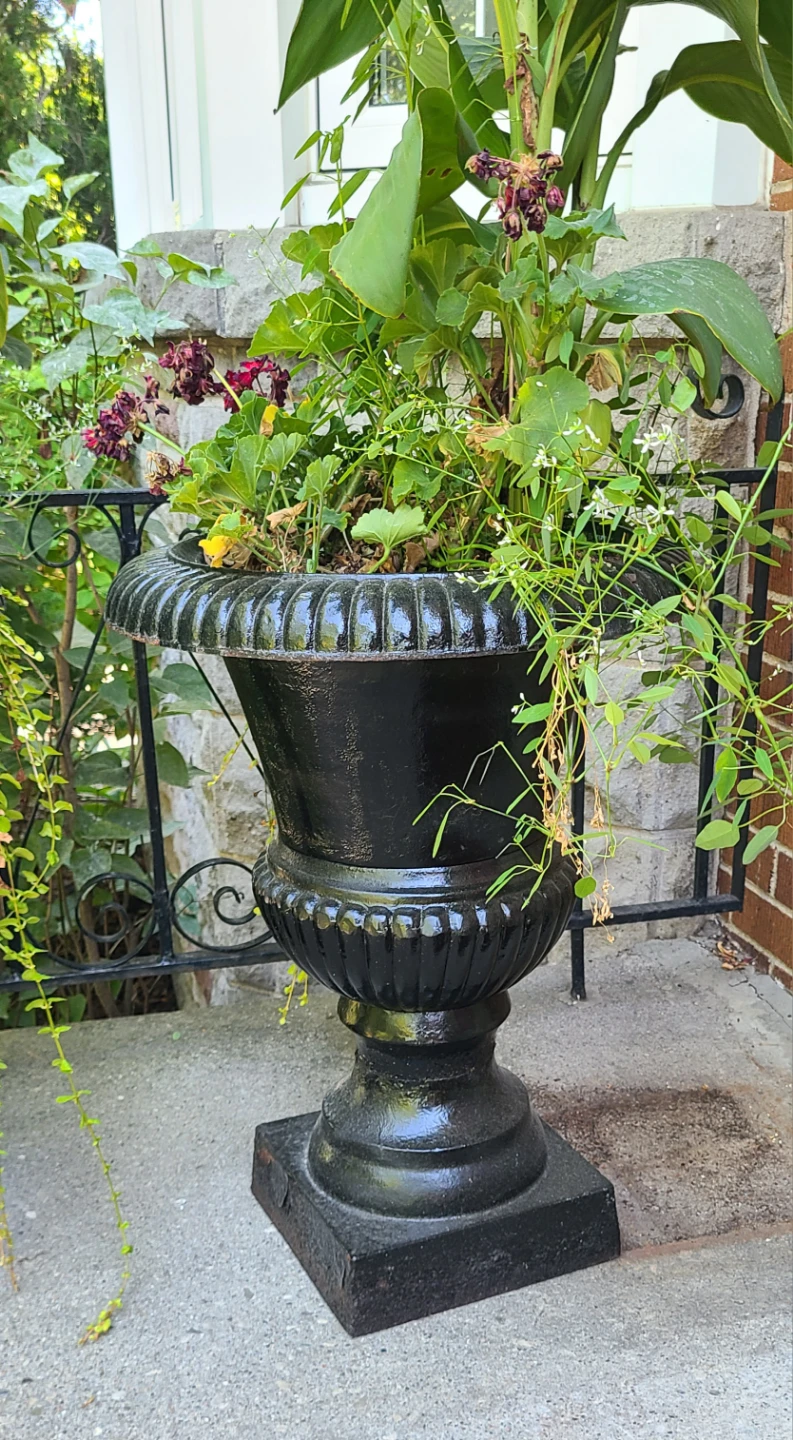 Set of Vintage Cast Iron Planters / Urns $180/Set with Plants - photo 2