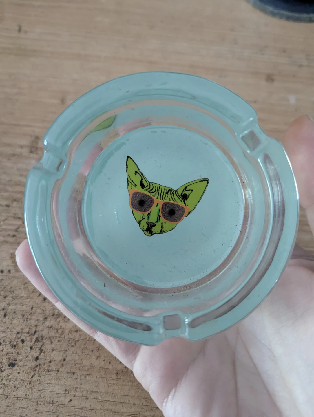Ugly House Ashtray with Cat Design