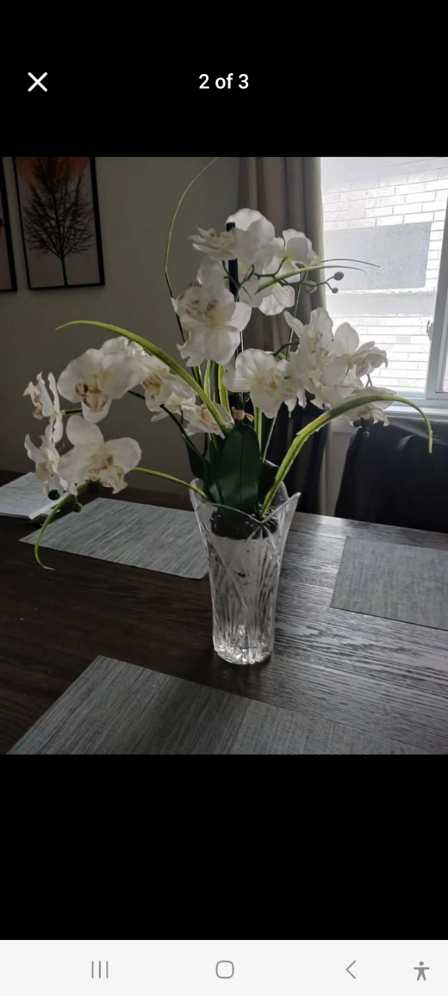 White Orchid Arrangement in Crystal Vase