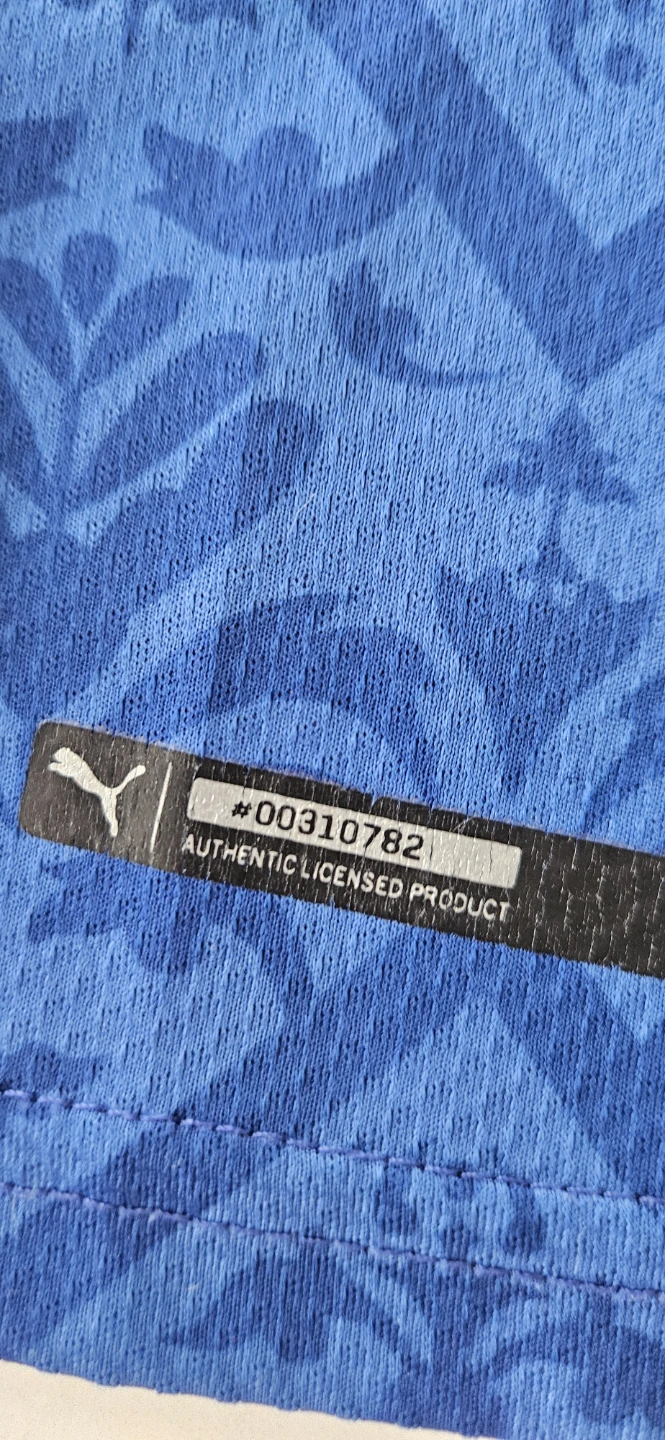 Puma Italia Jersey - photo 4