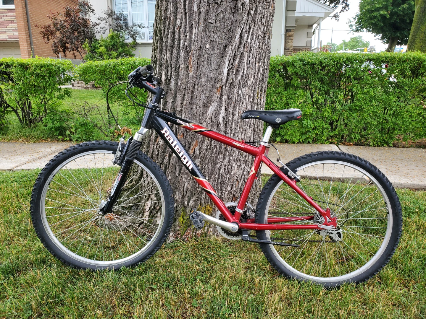 Raleigh Tarantula mountain bike