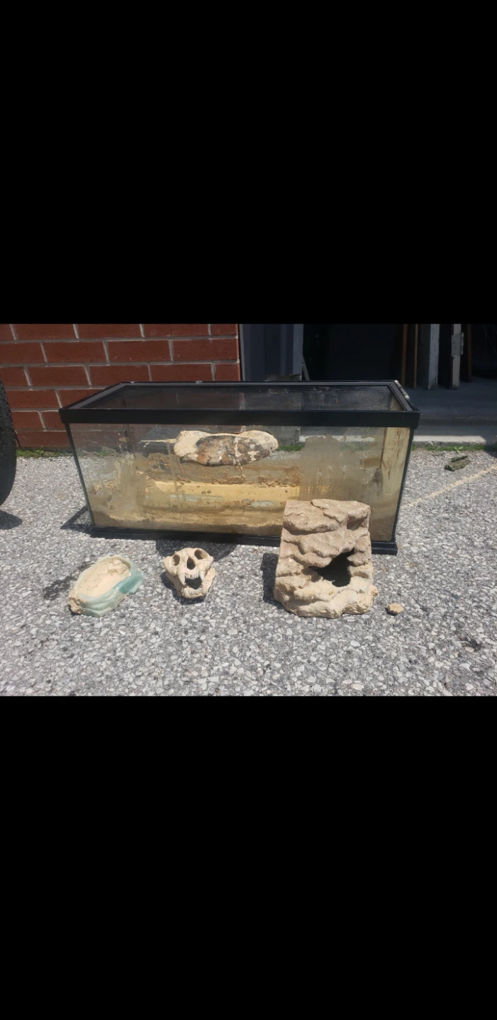 Terrarium Tanks