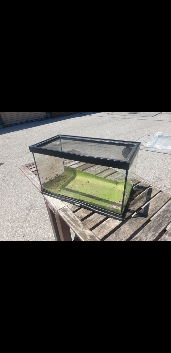 Terrarium Tanks - photo 2