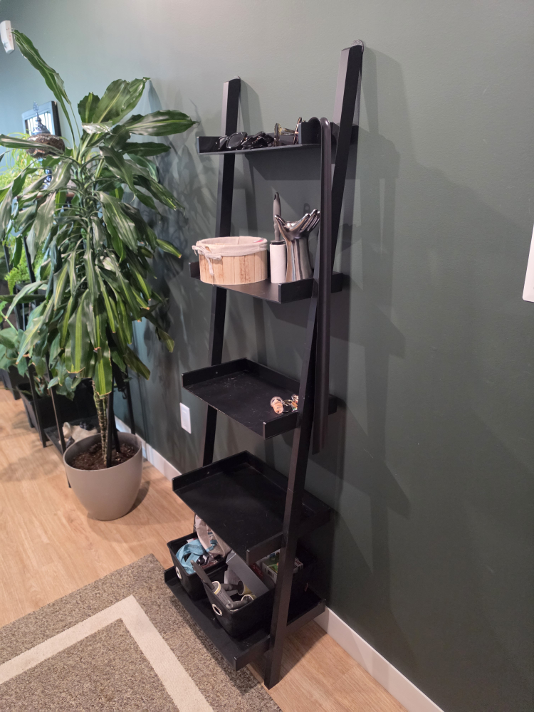 Ladder shelf