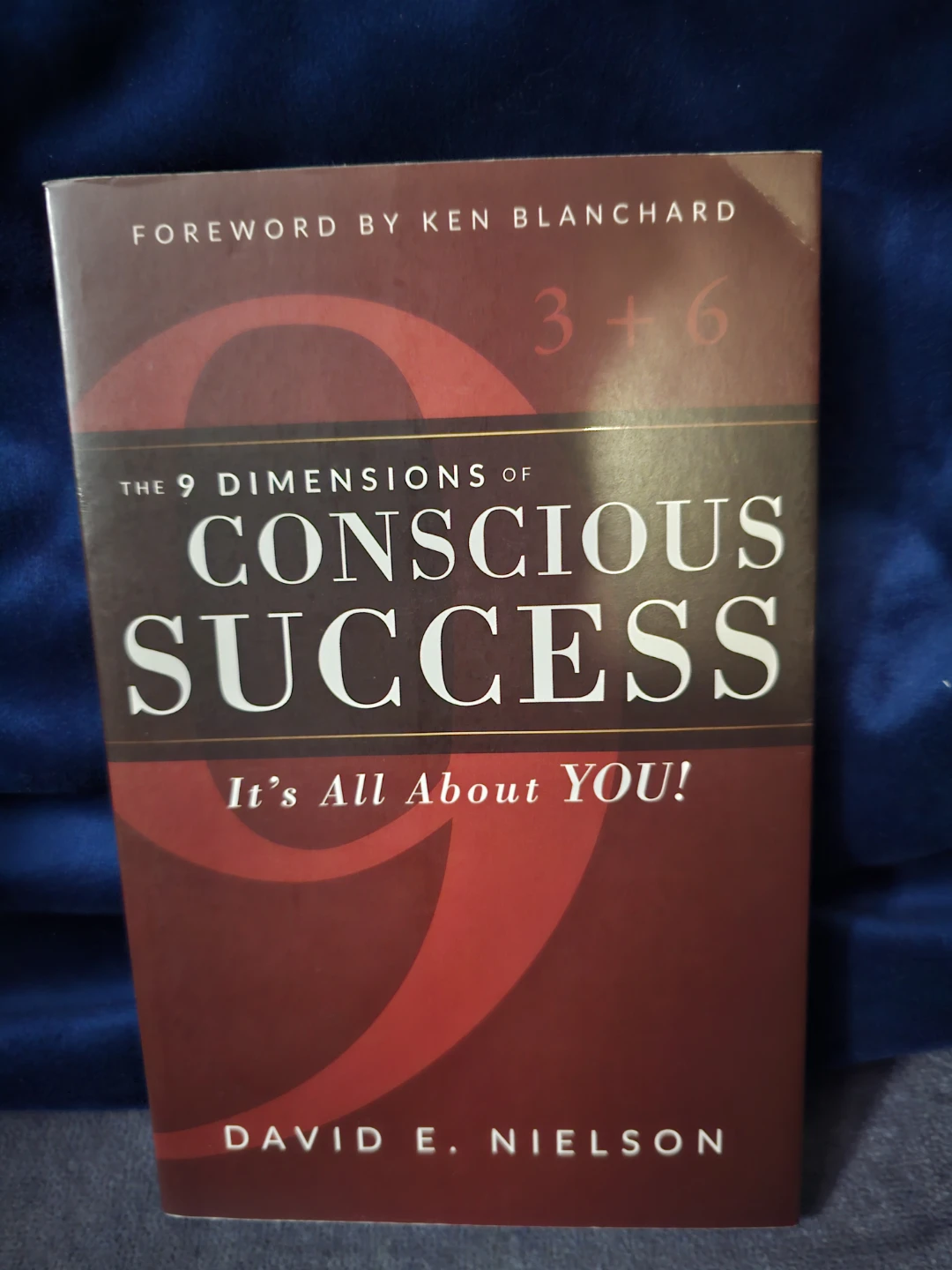 The 9 Dimensions of Conscious Success by David E. Nielson Book