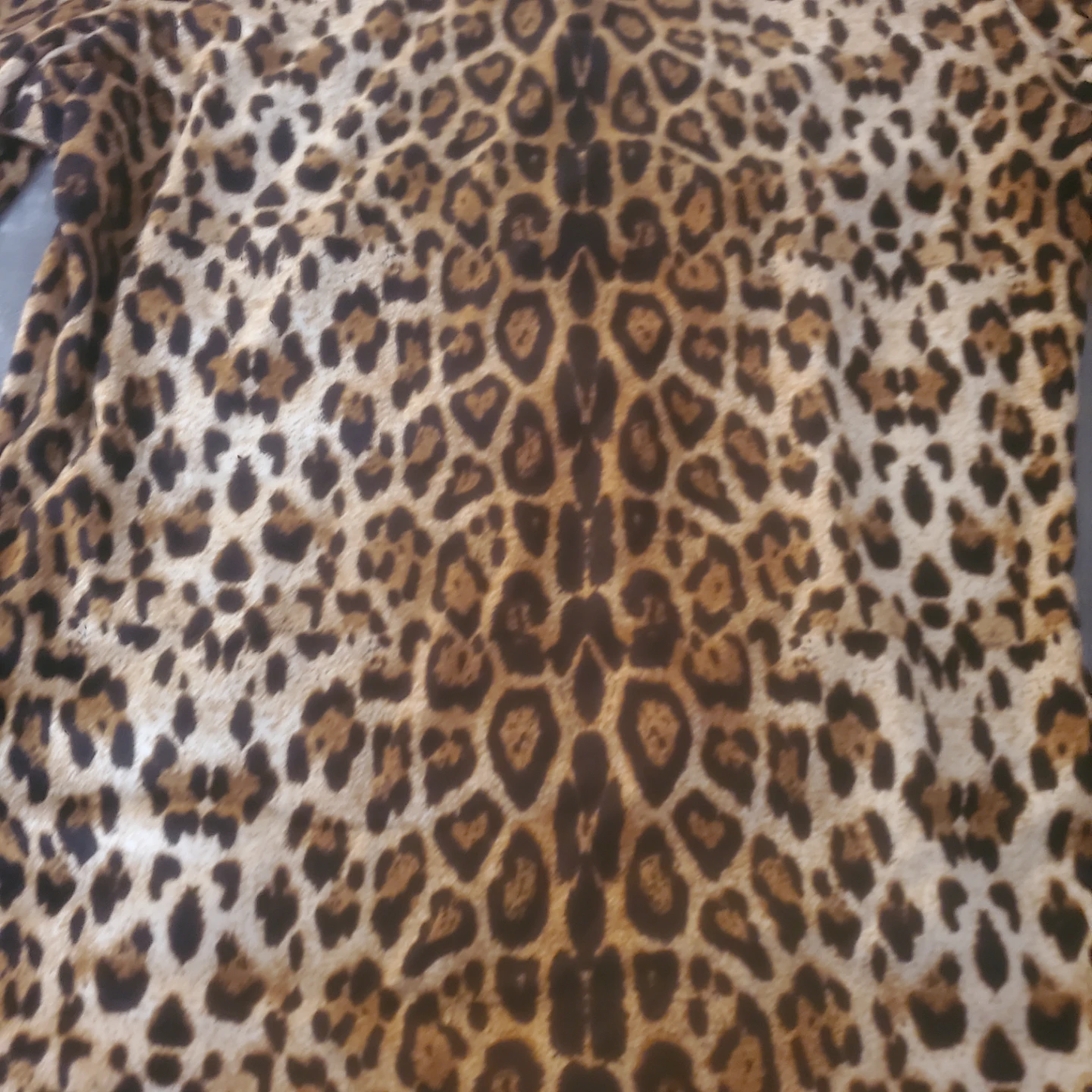 Leopard Print Long Sleeve Dress - photo 3