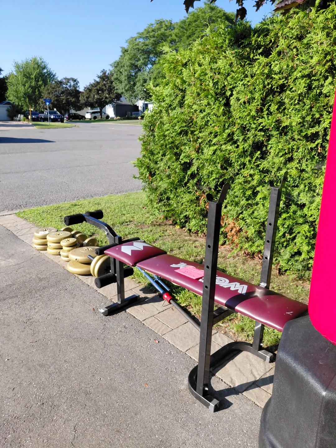 Weight Bench with Weight Plates