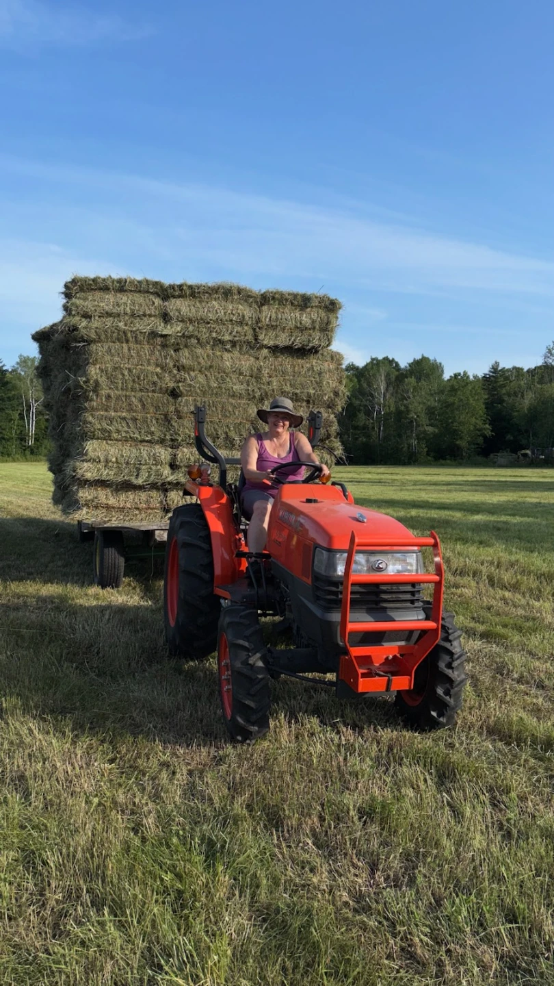 100 Small Grass Square Hay Bales