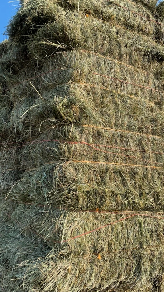 100 Small Grass Square Hay Bales - photo 2