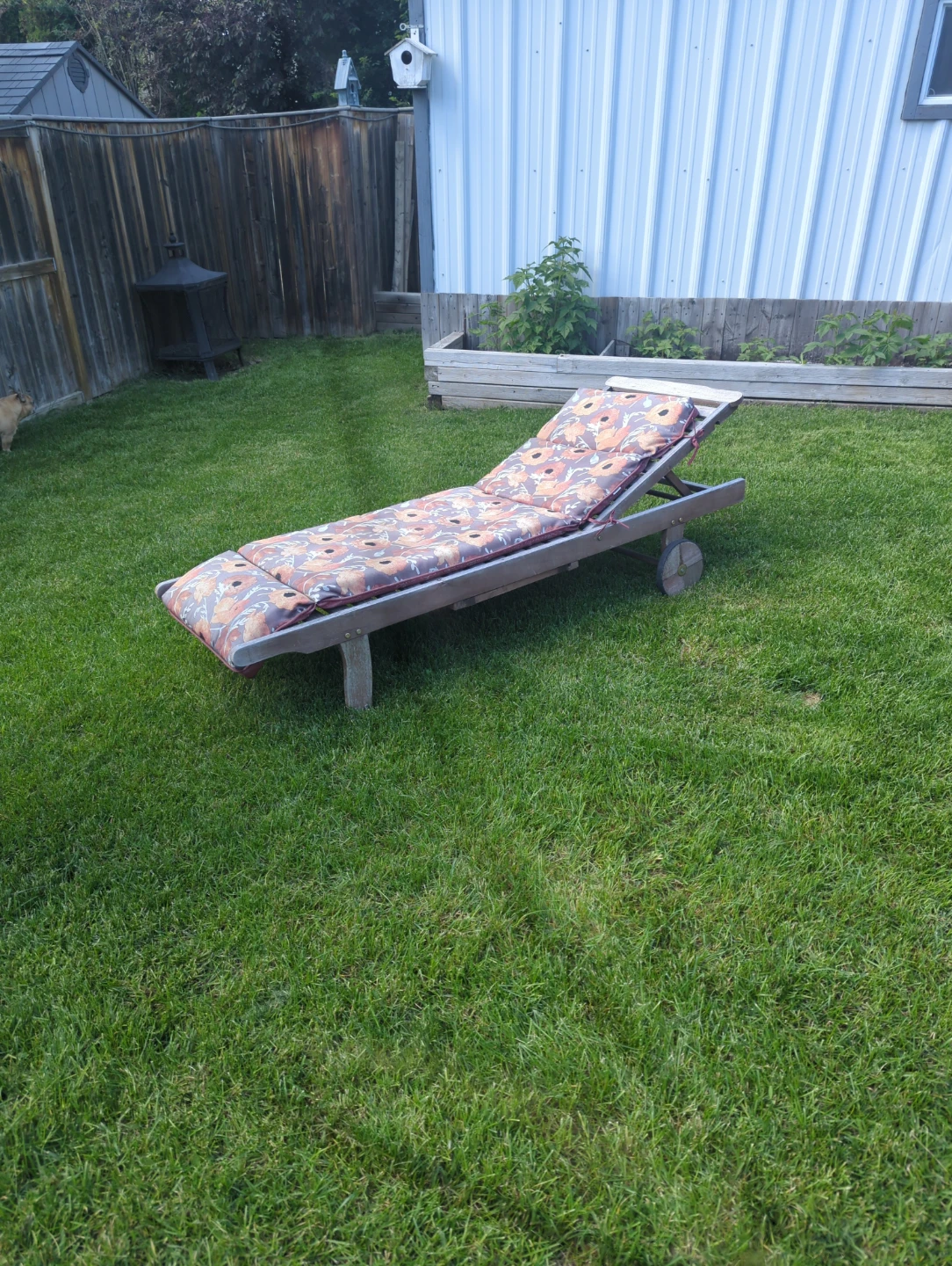 Outdoor Chaise Lounge Chair with Floral Cushion - photo 2