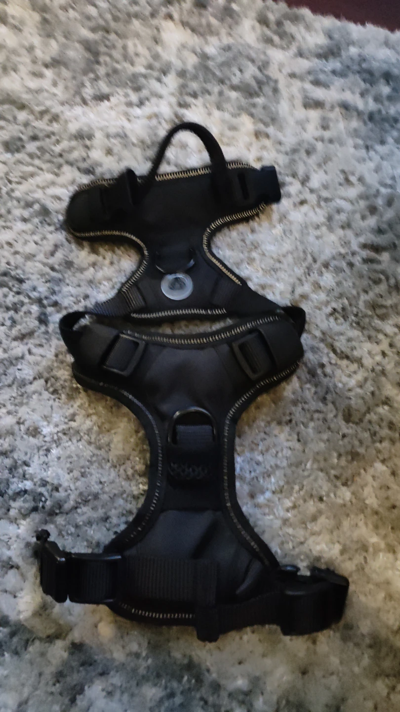 Black Dog Harness