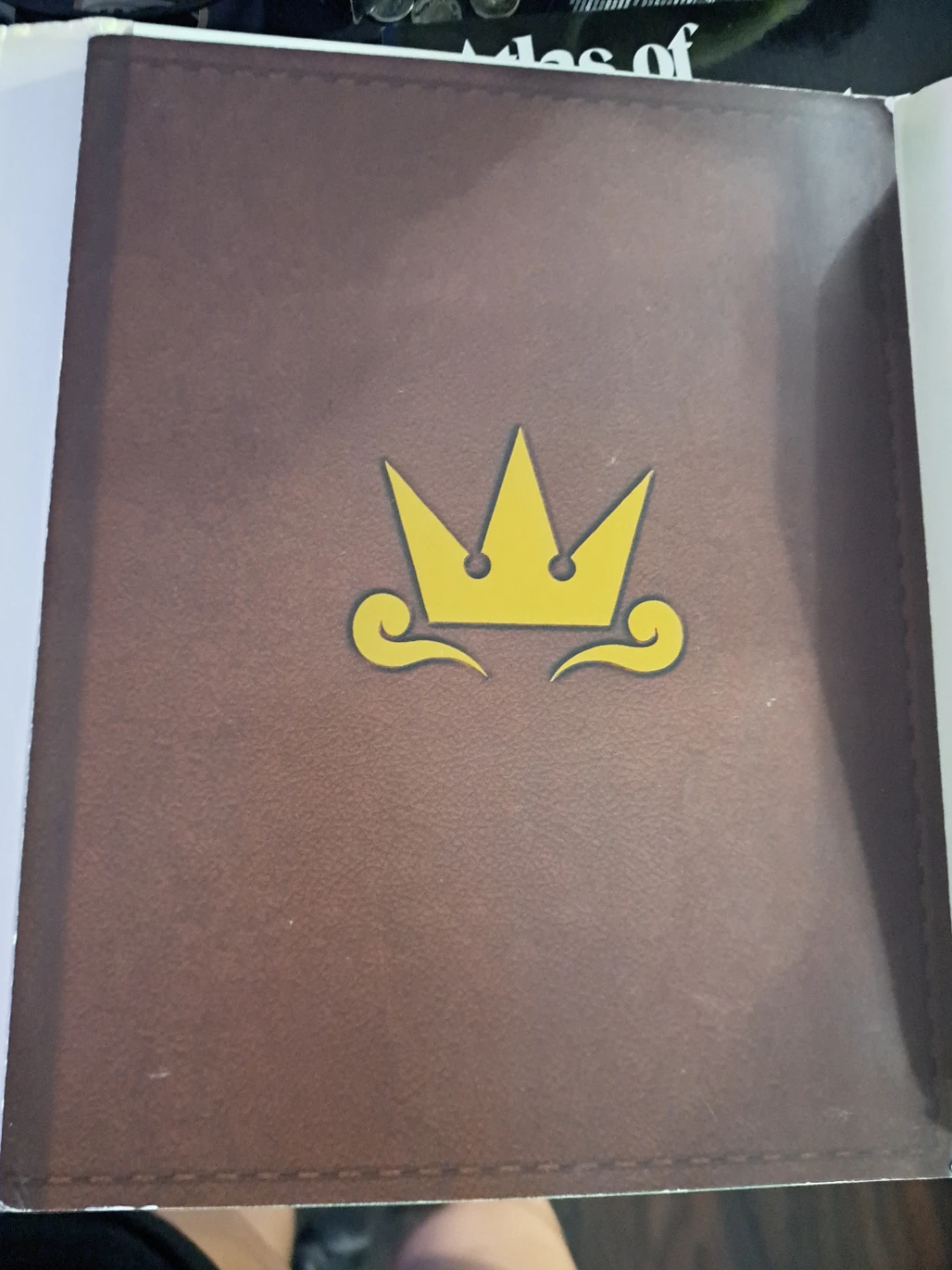 Kingdom Hearts II Limited Edition Strategy Guide - photo 3