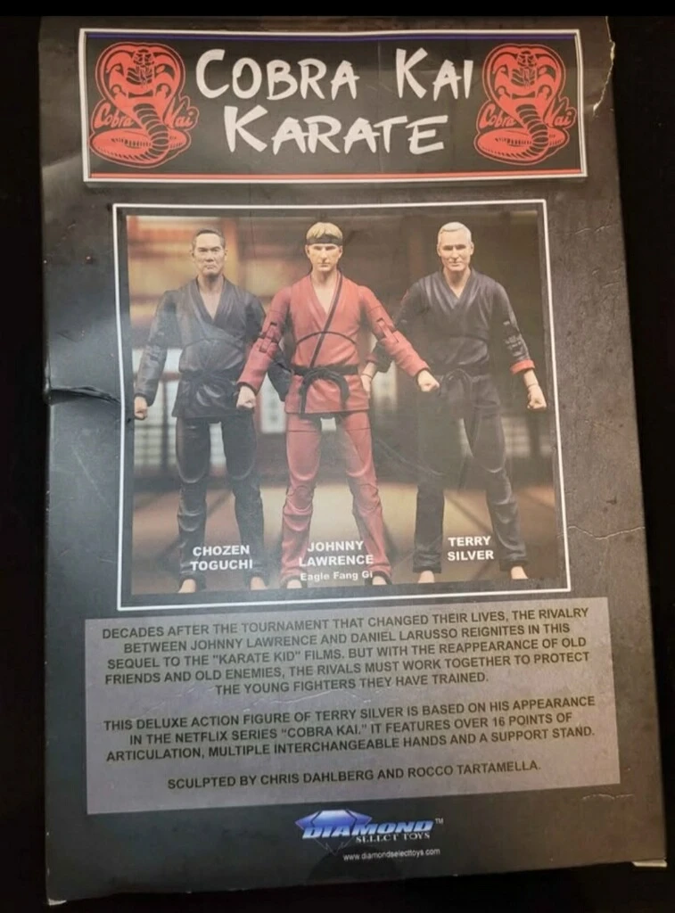 Cobra Kai Terry Silver Action Figure Dolll - photo 2