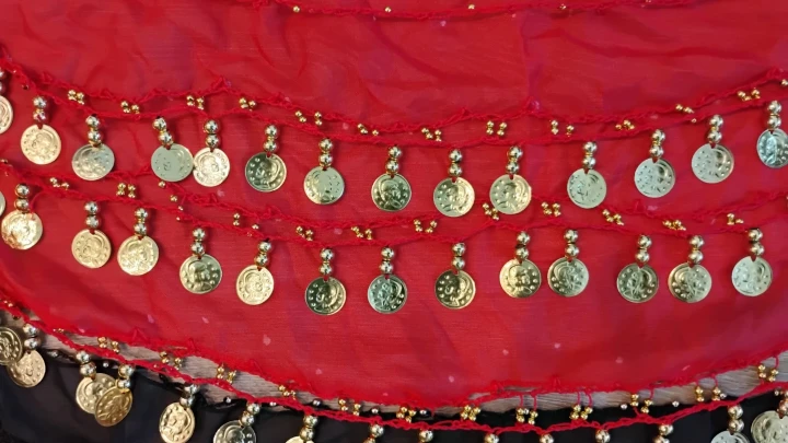 Belly Dance Hip Scarves with Coins - photo 4