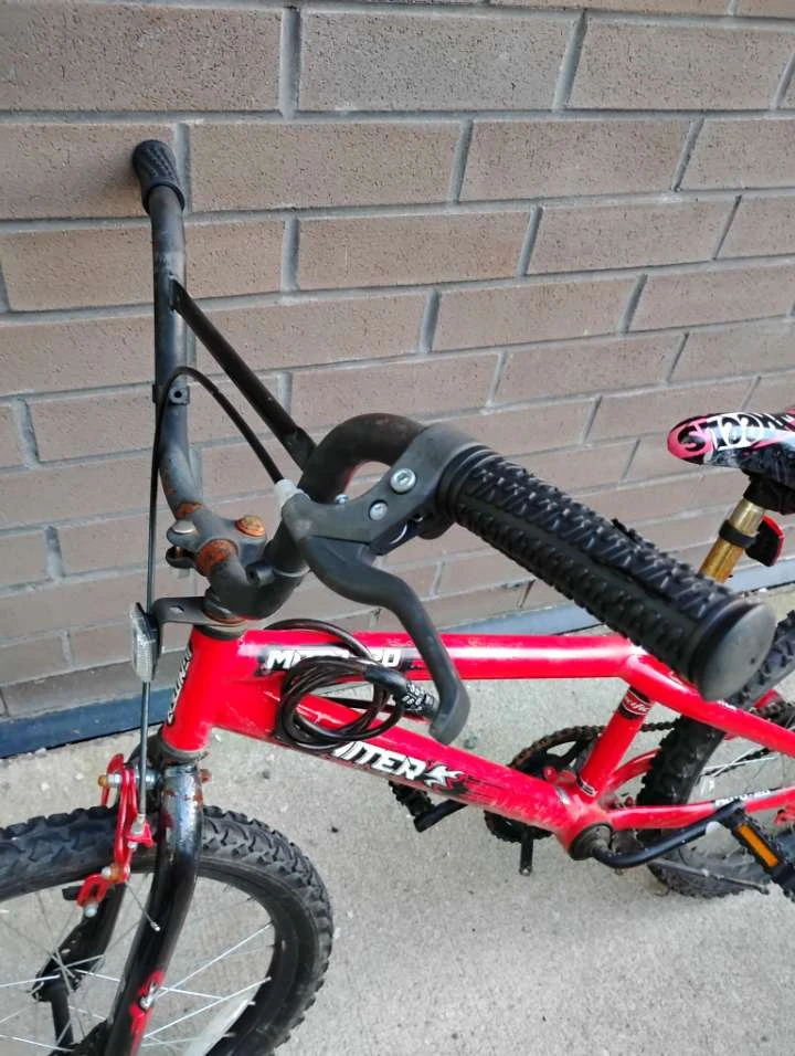 Pacific Moto-20 Bicycle - photo 2