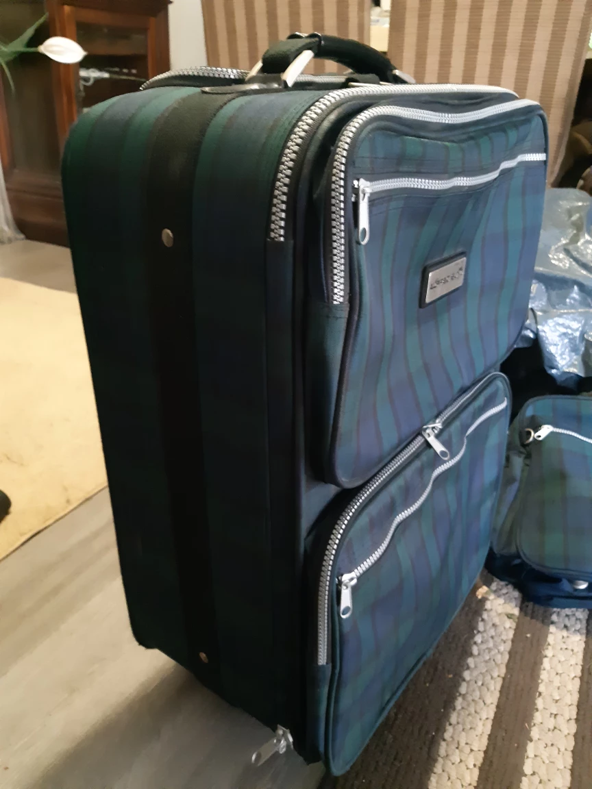 Alfred Sung Plaid Suitcase Set - photo 2