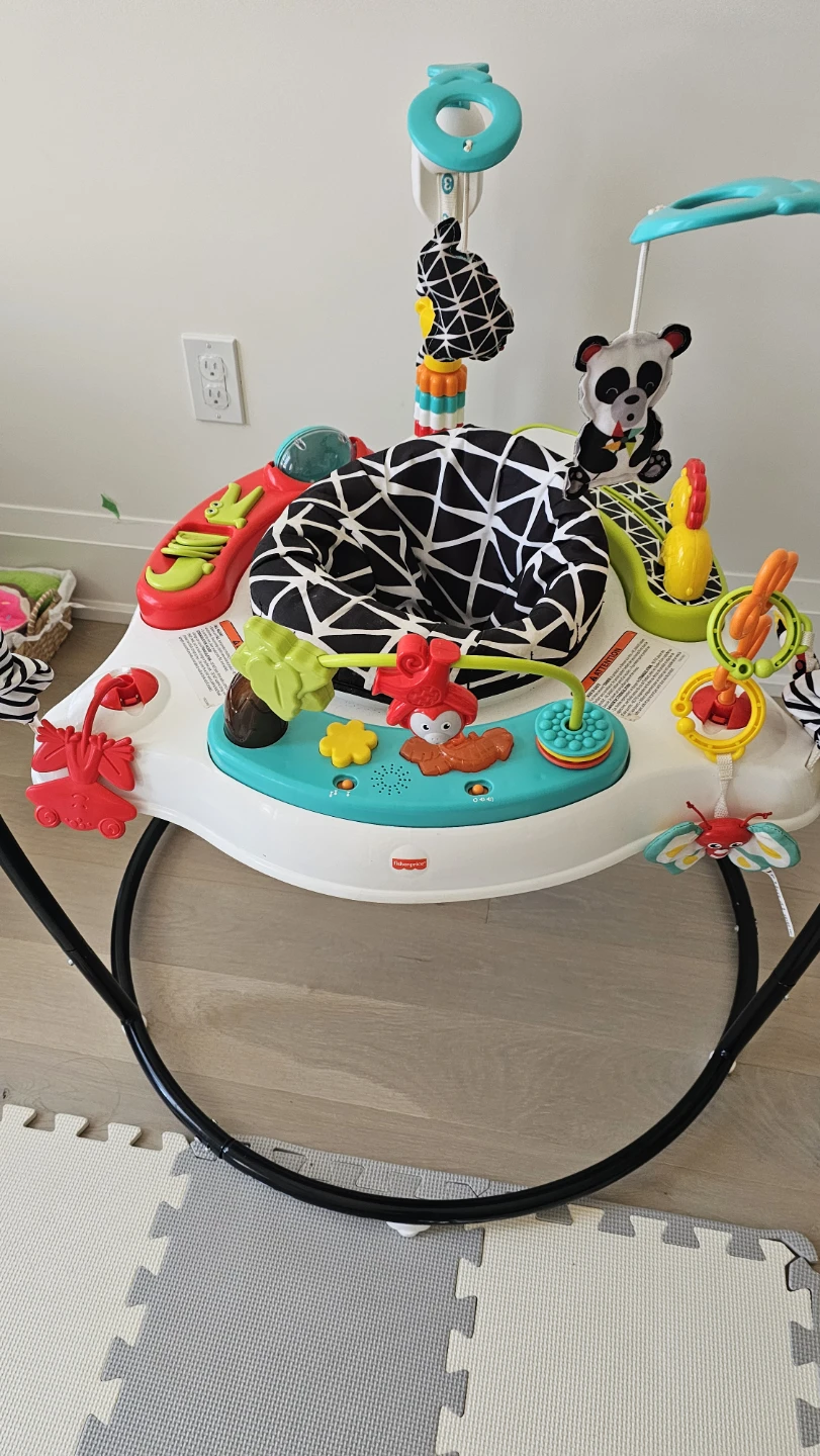 Fisher-Price Jumperoo Baby Activity Center