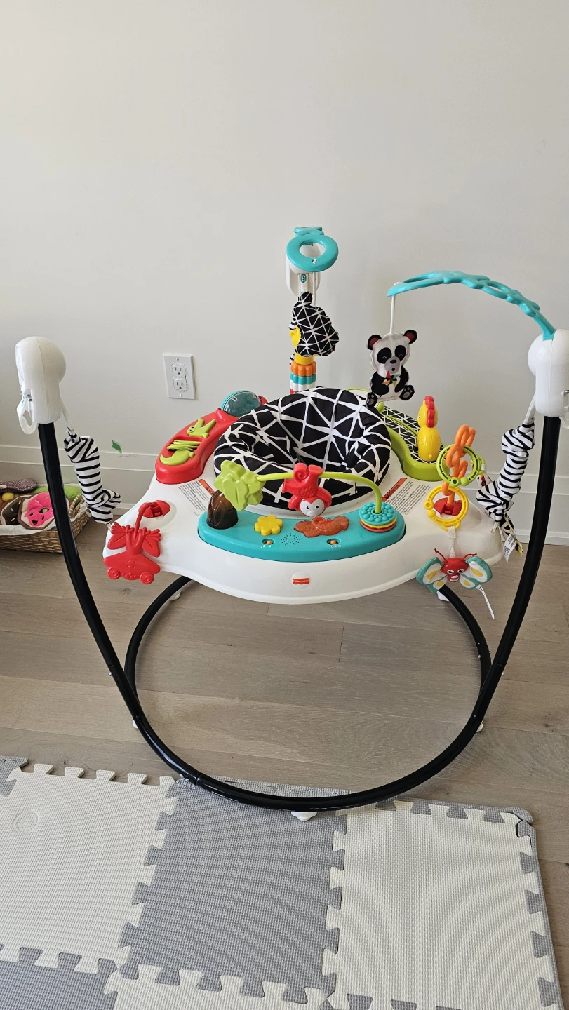 Fisher-Price Jumperoo Baby Activity Center - photo 2