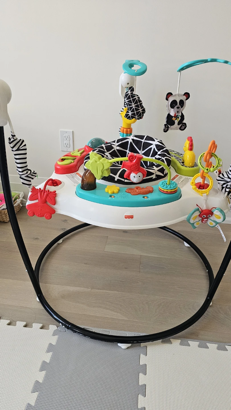 Fisher-Price Jumperoo Baby Activity Center - photo 3