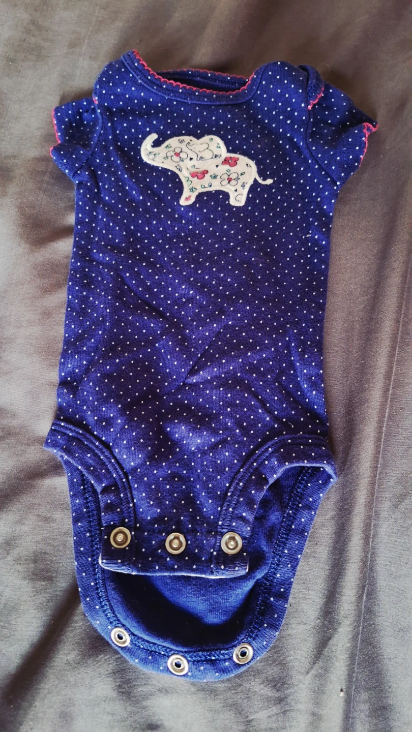Baby girl onesies bundle