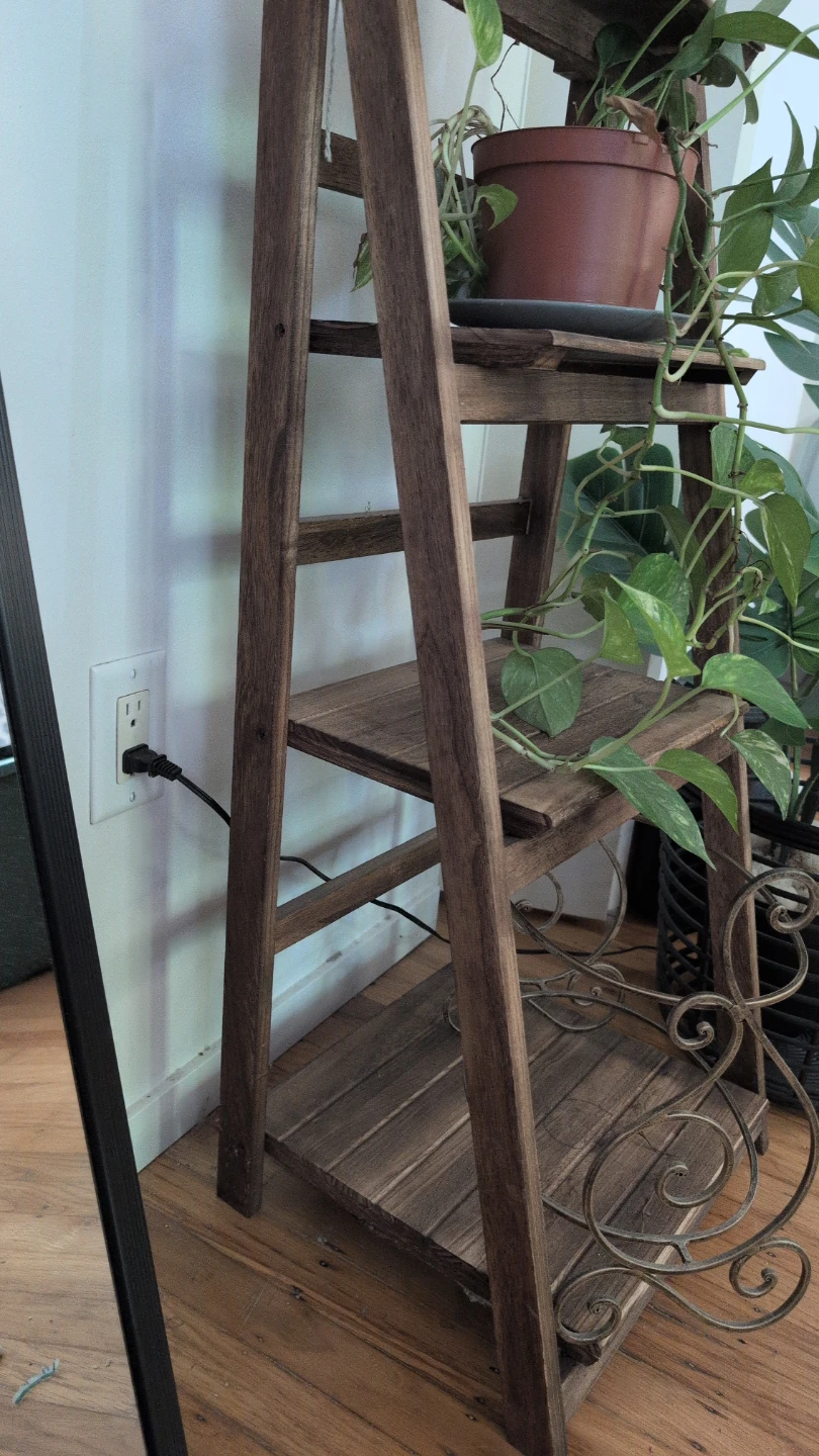 Wooden Ladder Shelf
