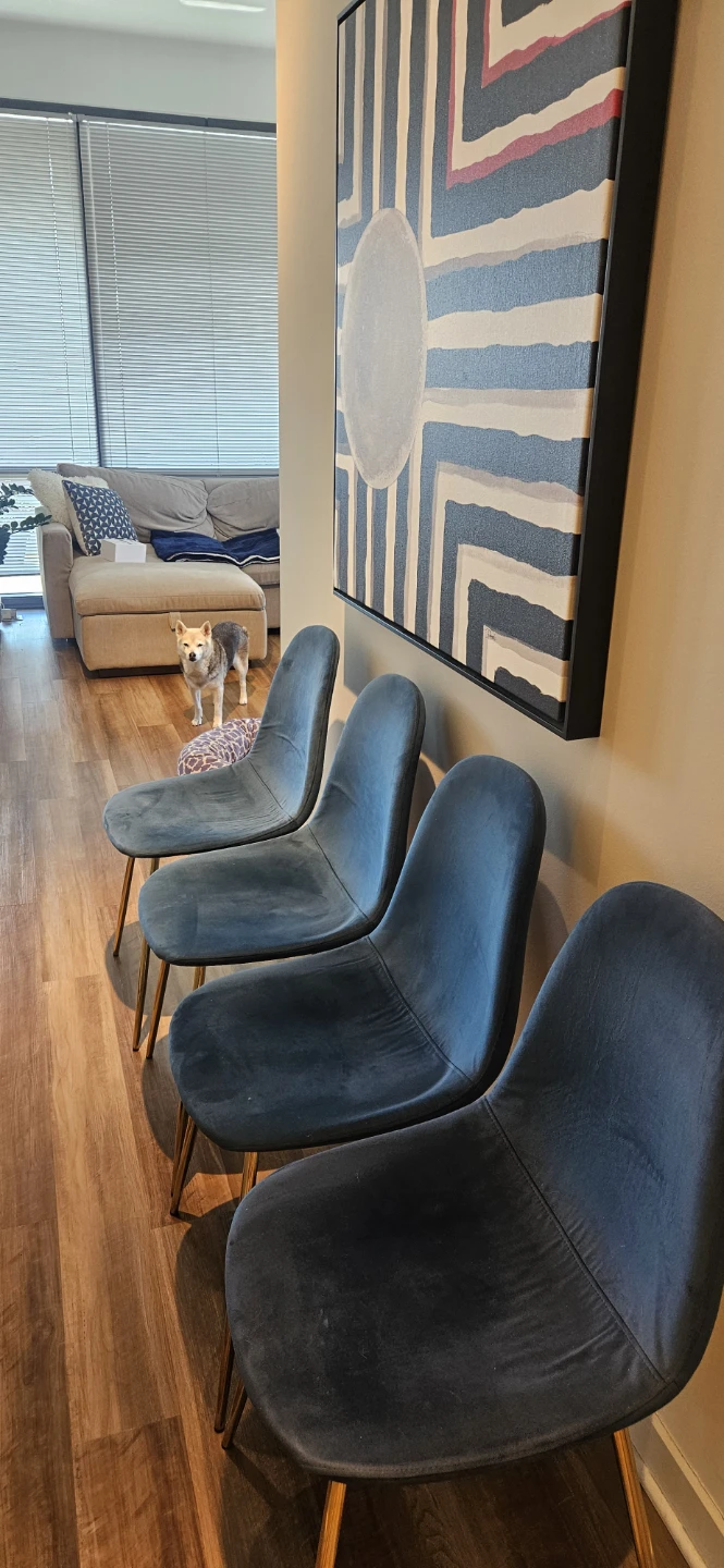 Set of 4 Blue Velvet Dining Chairs with Gold Legs - photo 3