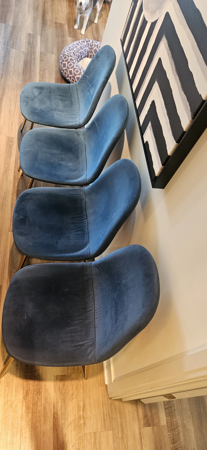 Set of 4 Blue Velvet Dining Chairs with Gold Legs - photo 4