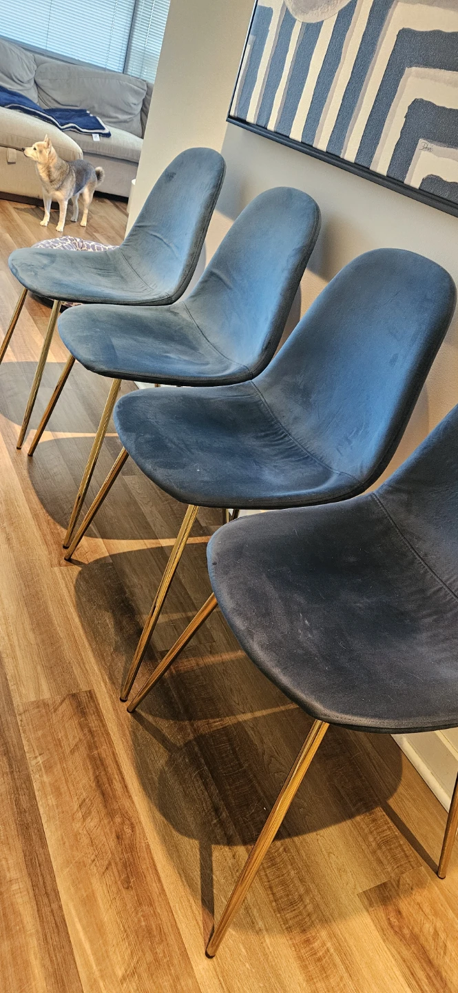 Set of 4 Blue Velvet Dining Chairs with Gold Legs - photo 5