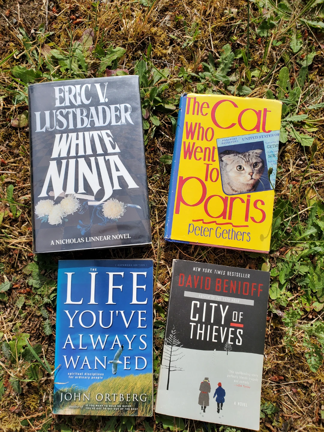 Book lot - photo 4