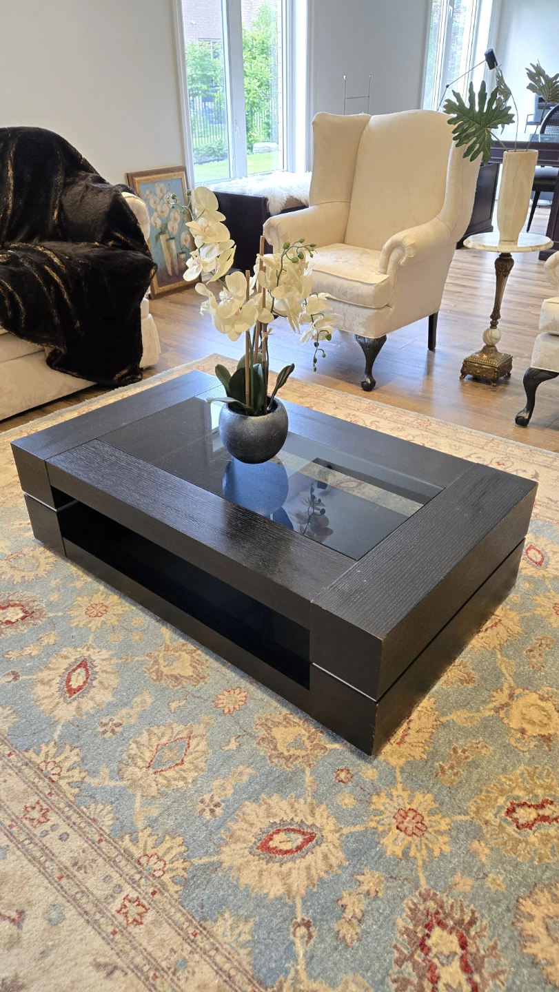 Modern Black Coffee Table