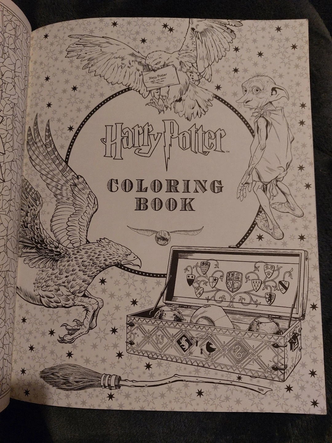 Harry Potter Celebratory Edition Coloring Book - photo 2