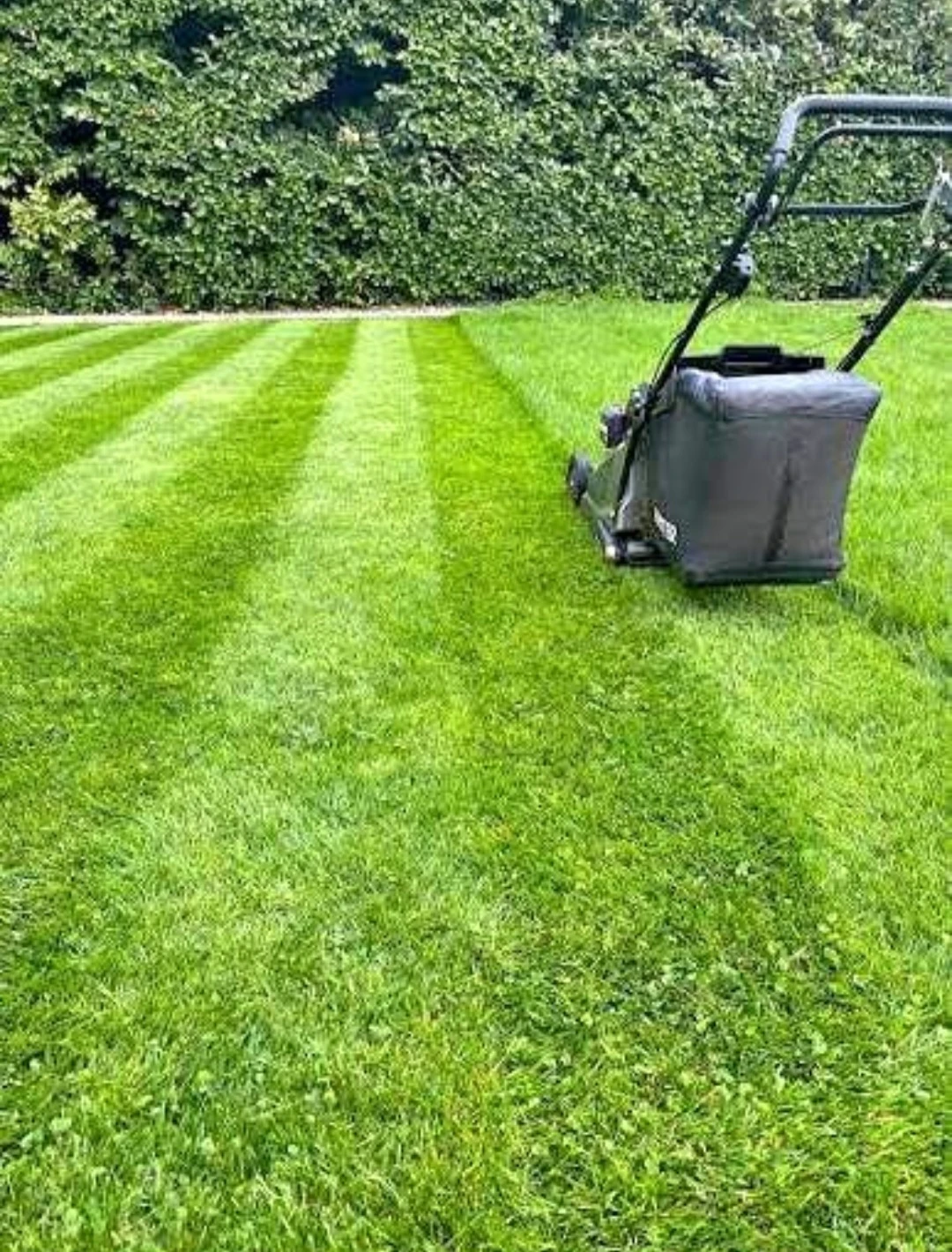 Grass cutting service