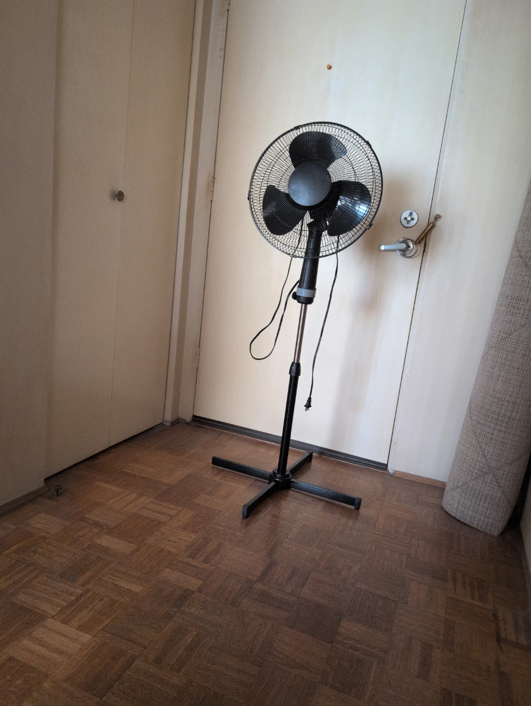 Black Pedestal Fan