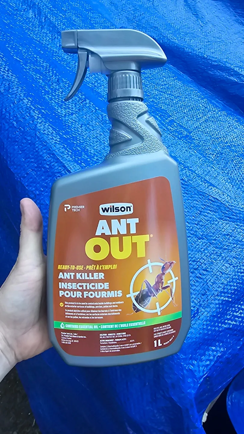 Wilson Ant Out Ant Killer Spray 1L