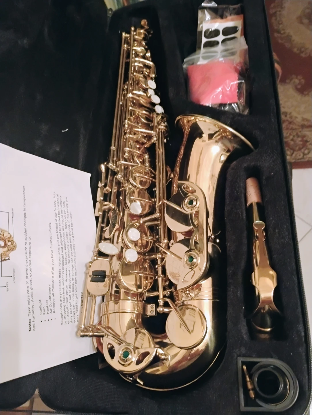Gold Alto Saxophone with Case
