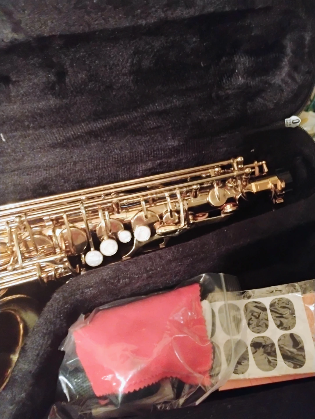 Gold Alto Saxophone with Case - photo 3
