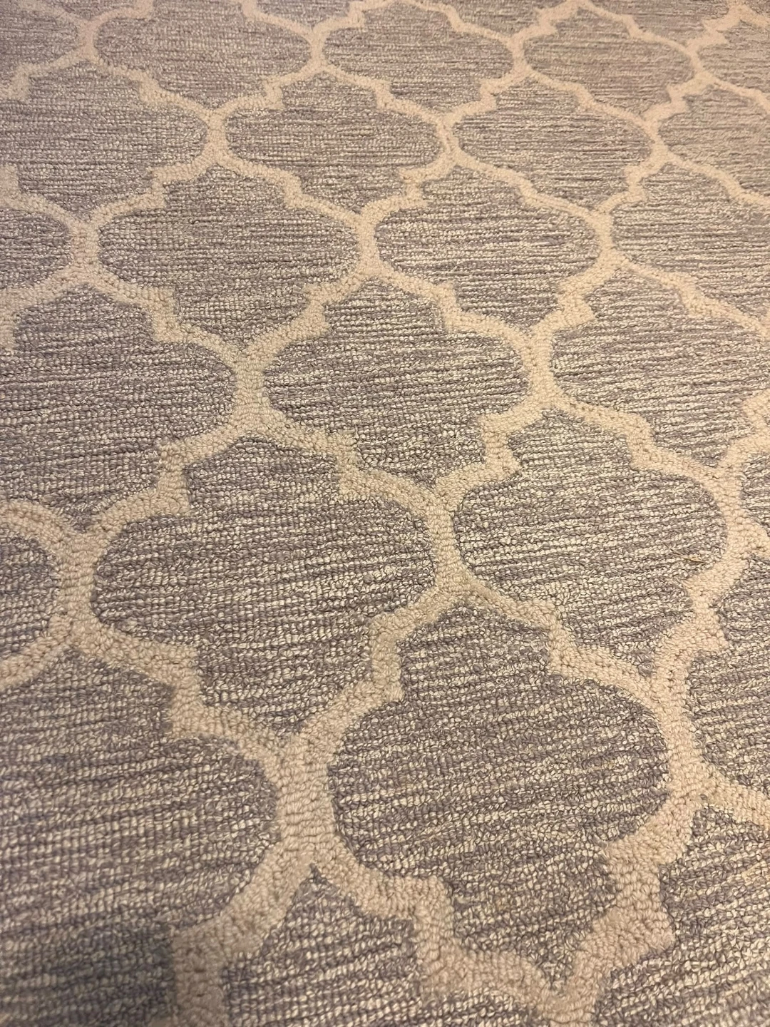 Light Grey Rug 5'4" x 7'7" - photo 5