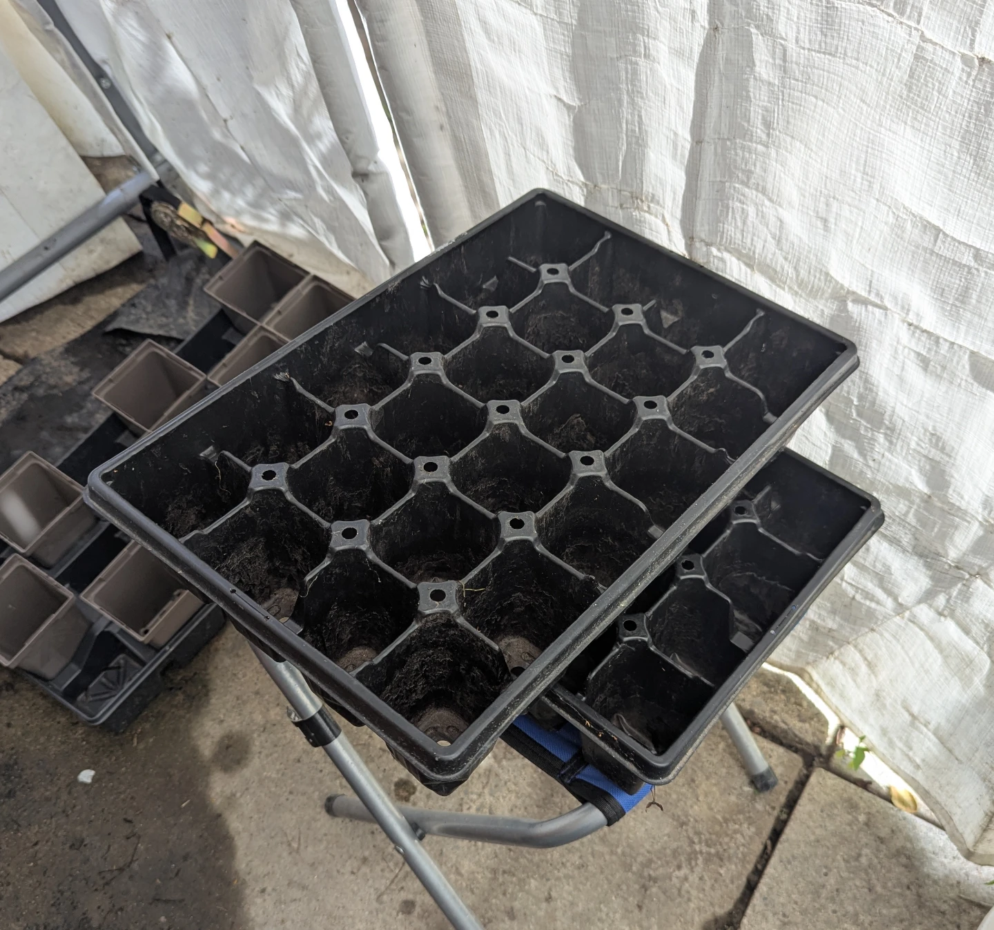 Seedling Trays
