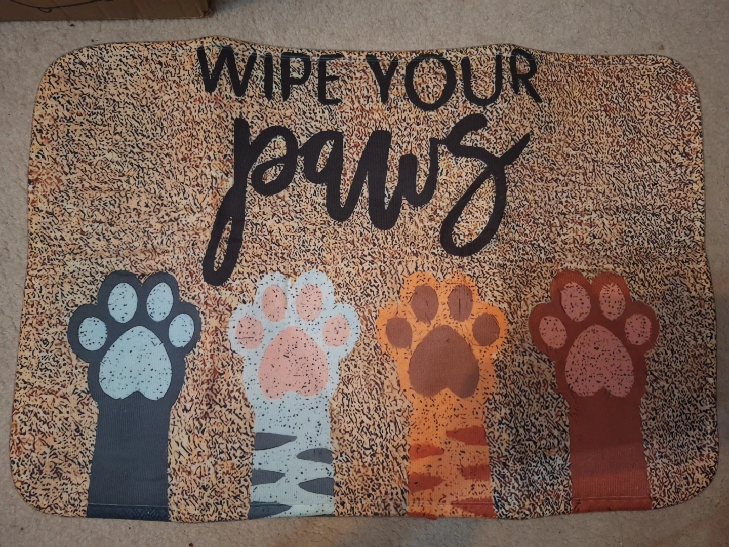 NEW Wipe Your Paws Doormat - photo 4